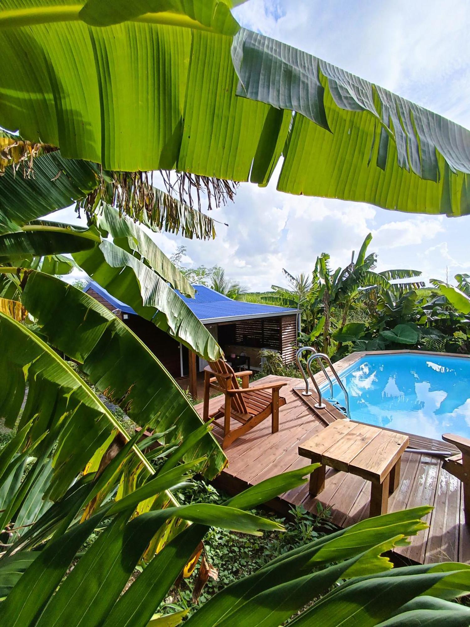 Le Paradis Des Colibris Villa Anse-Bertrand Bagian luar foto