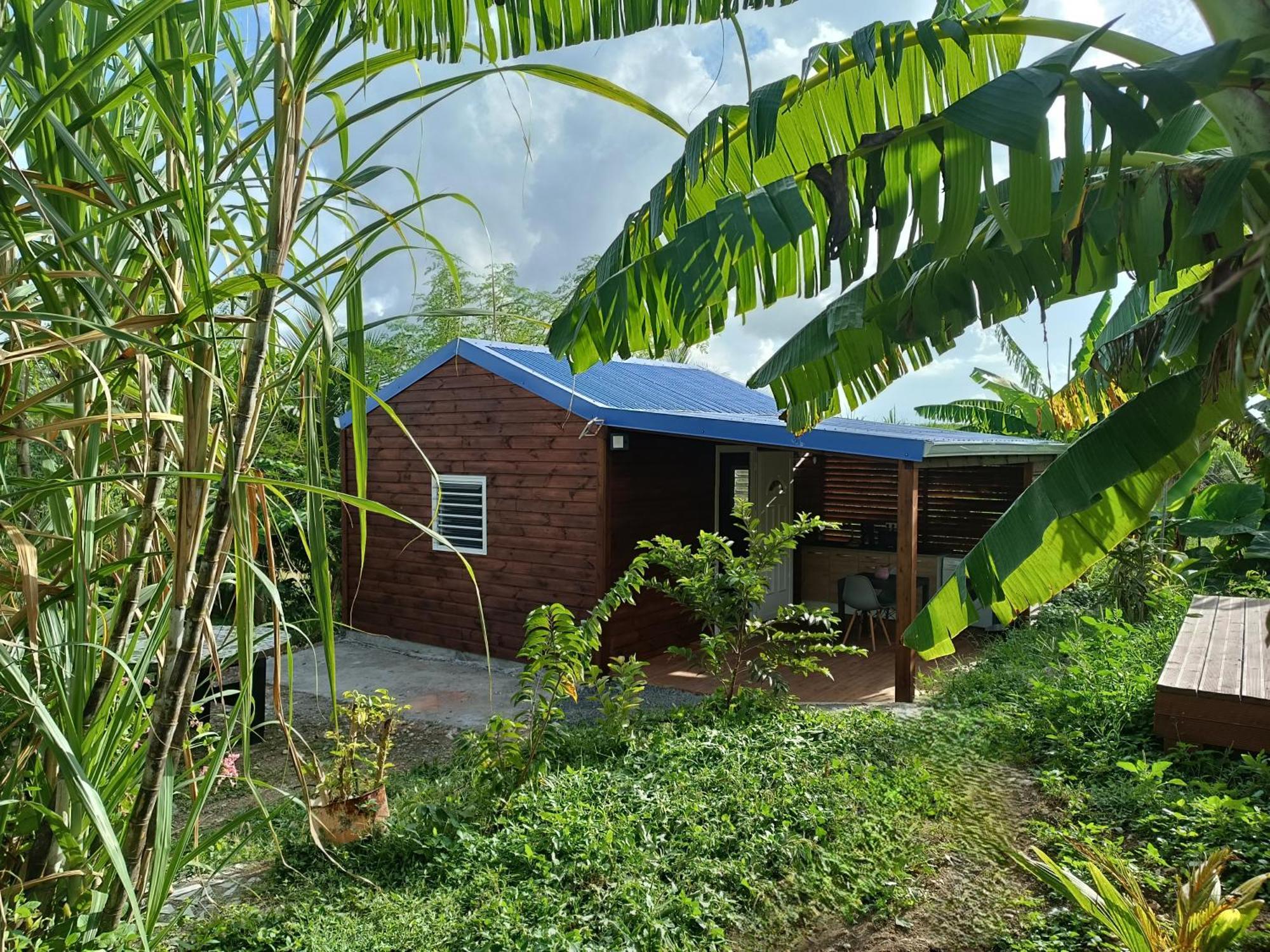 Le Paradis Des Colibris Villa Anse-Bertrand Bagian luar foto