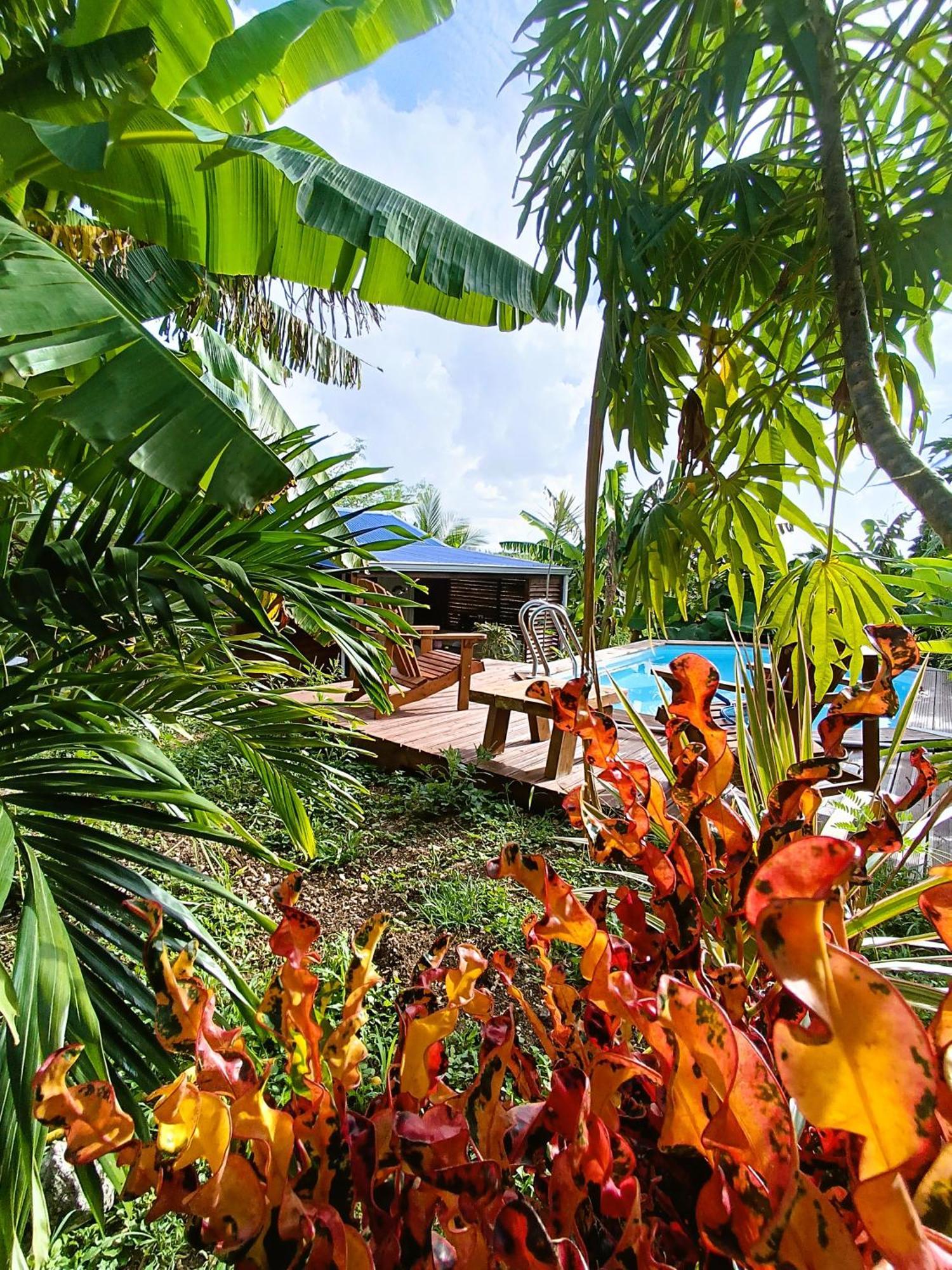 Le Paradis Des Colibris Villa Anse-Bertrand Bagian luar foto