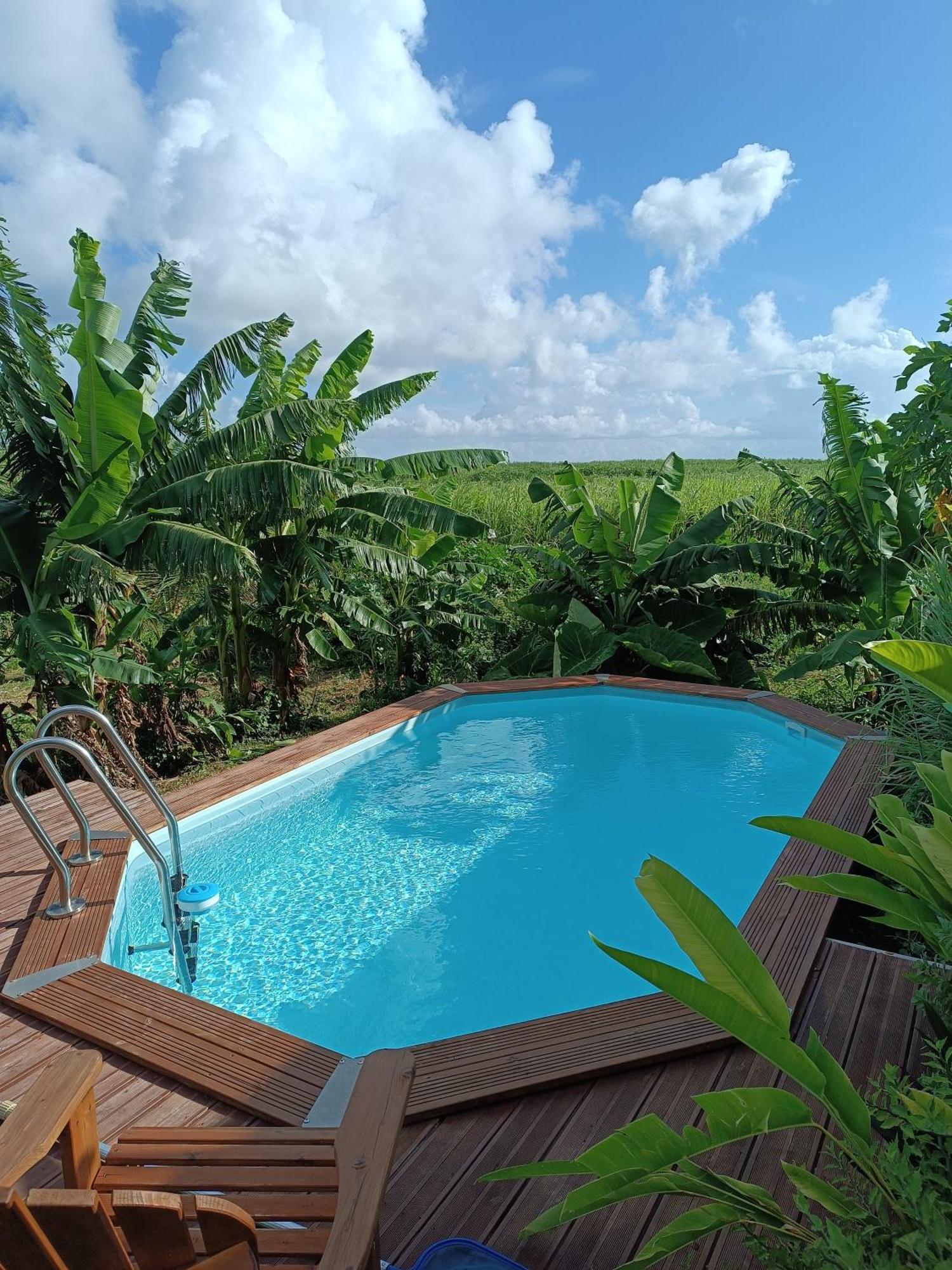 Le Paradis Des Colibris Villa Anse-Bertrand Bagian luar foto